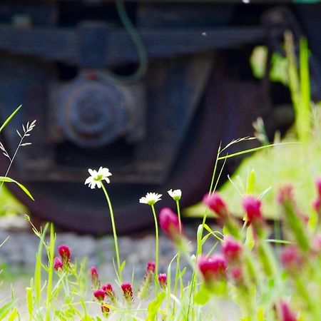 Willa Urlaubsbahnhof-Schlafwagen Lauterbach  Zewnętrze zdjęcie